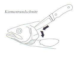Kiemenschnitt