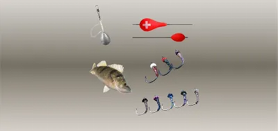 Angebote für Barsch > Zusammenstellungen für Egli