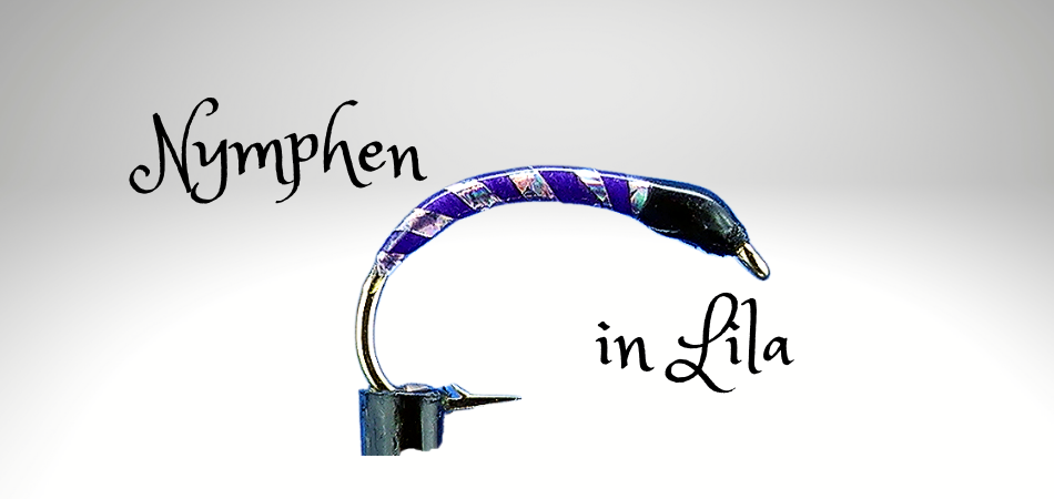 Nymphen in Lila