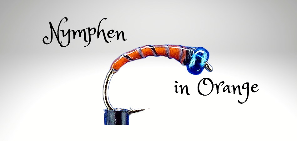 Nymphen in Orange