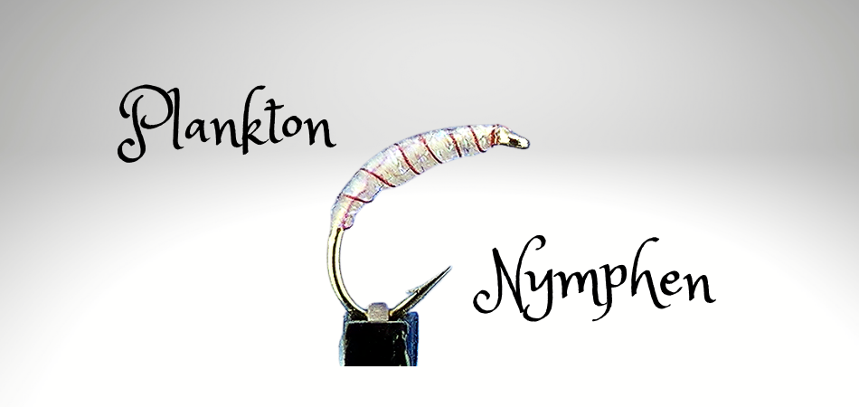 Plankton Nymphen