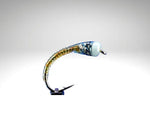 Bodyglass/BG10.png