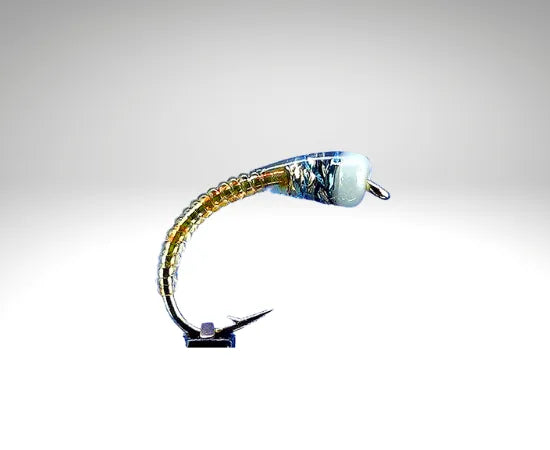 Bodyglass/BG10.png