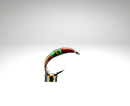 Wasserflöhe/FL1301.png