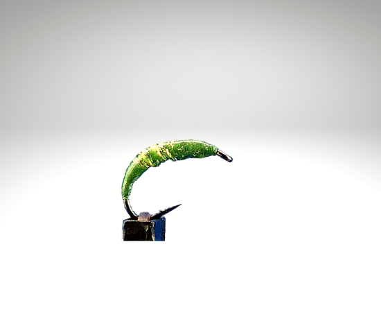 Wasserflöhe/FL1303.png
