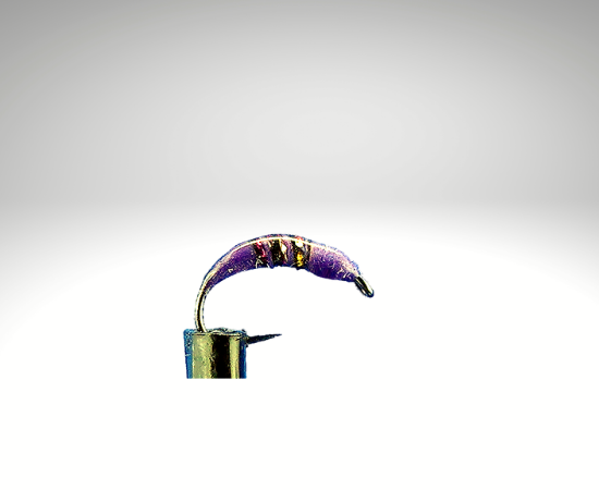 Wasserflöhe/FL1305.png