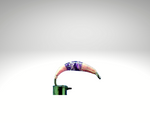 Wasserflöhe/FL1309.png