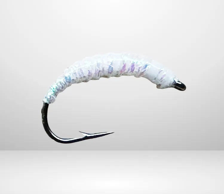 Felchenbarsch Larva MA 01