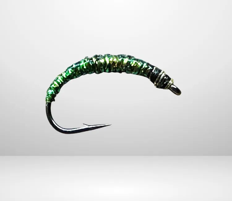 Felchenbarsch Larva MA 02
