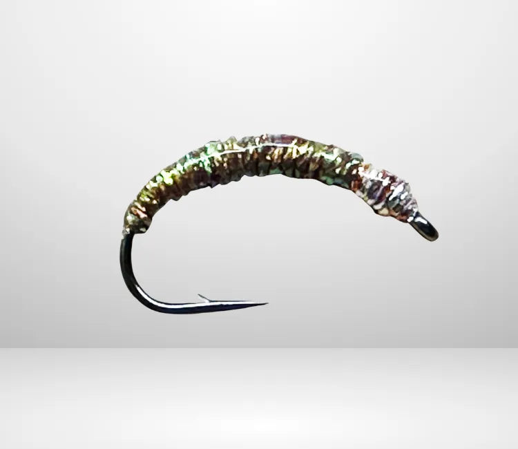 Felchenbarsch Larva MA 03