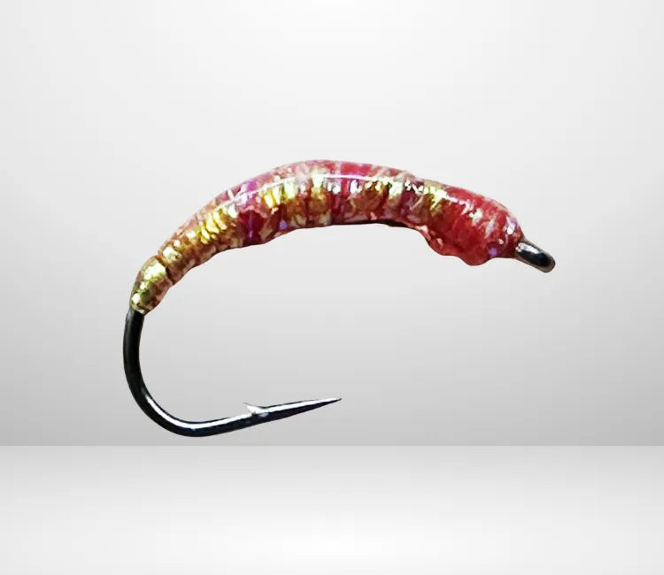 Felchenbarsch Larva MA 04