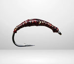 Felchenbarsch Larva MA 05