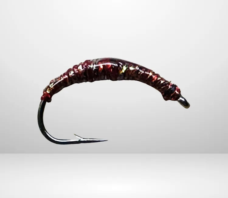 Felchenbarsch Larva MA 05