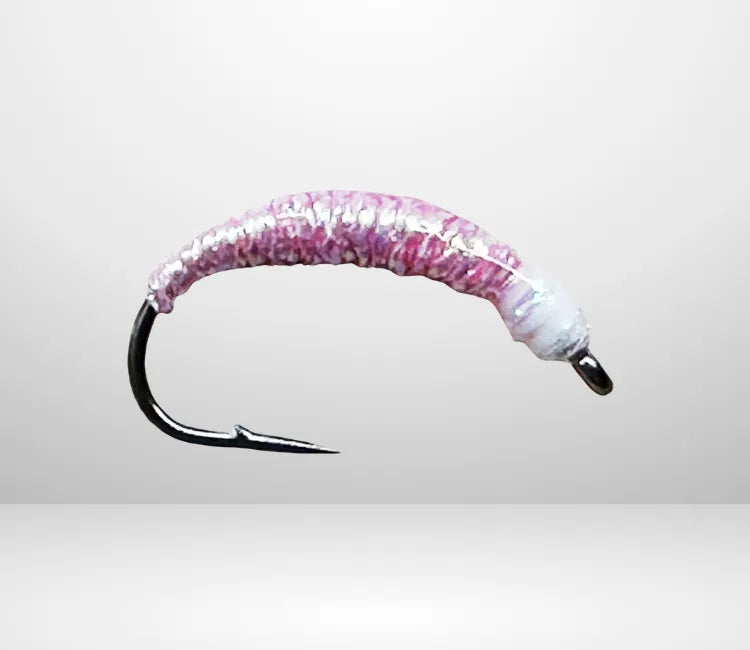 Felchenbarsch Larva MA 06