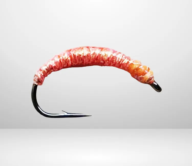 Felchenbarsch Larva MA 07