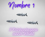 Auswahl_felchenhegenen1