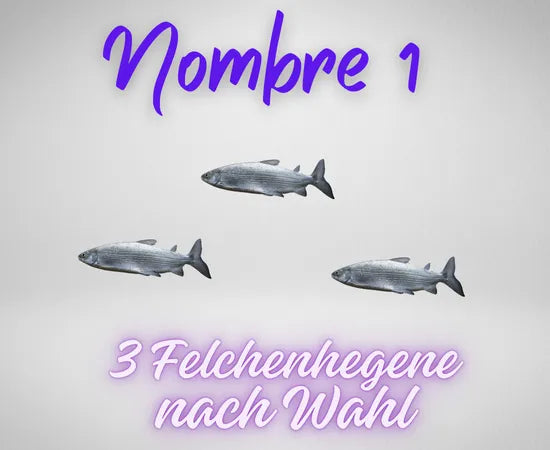 Auswahl_felchenhegenen1