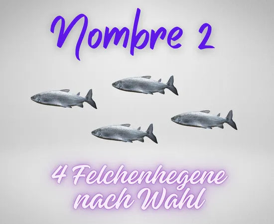 Auswahl_felchenhegenen2
