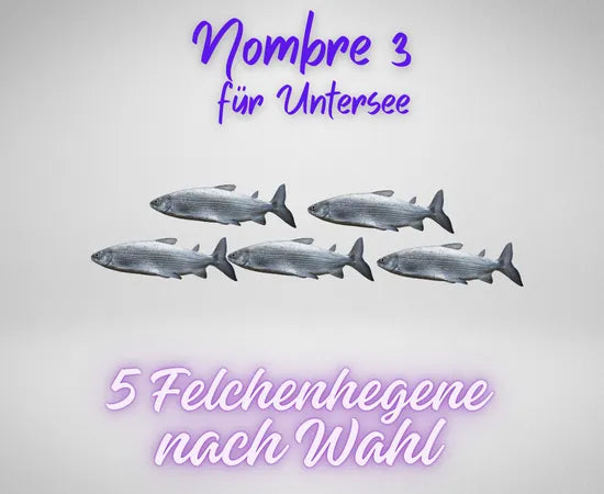 Nombre3_Unterseefelchenhegenen
