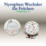 Wechsler-Changer Felchen Untersee 1
