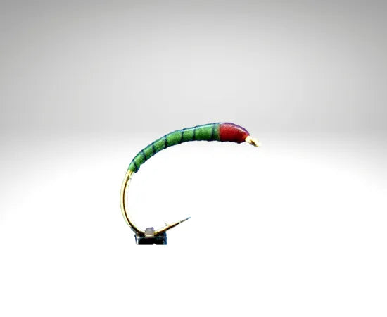 olive/OL701.png