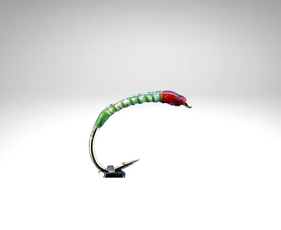 olive/OL704.png