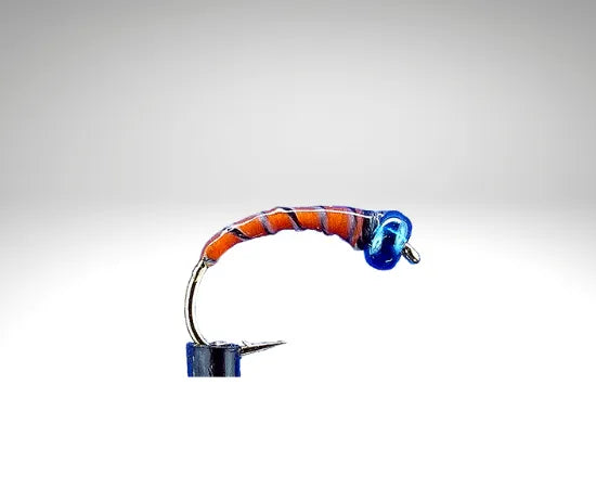 orange803