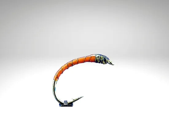 orange804
