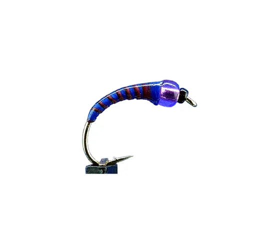 Peacock/PE906.png
