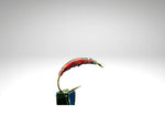 Plankton/PL1601.png
