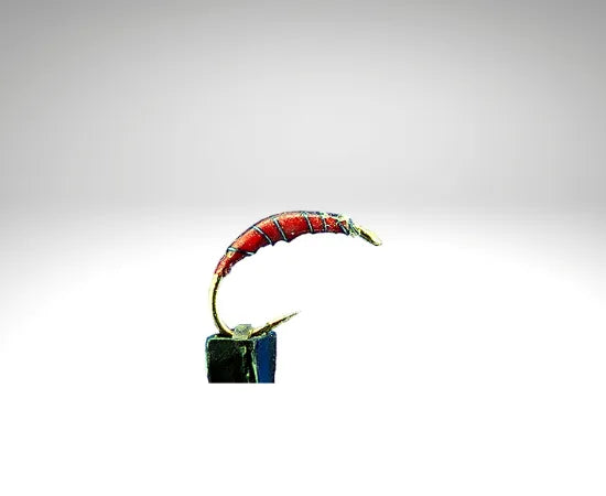 Plankton/PL1601.png