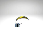 Plankton/PL1602.png
