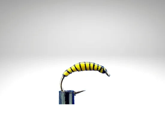 Plankton/PL1602.png