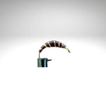 Plankton/PL1604.png