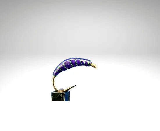 Plankton/PL1605.png