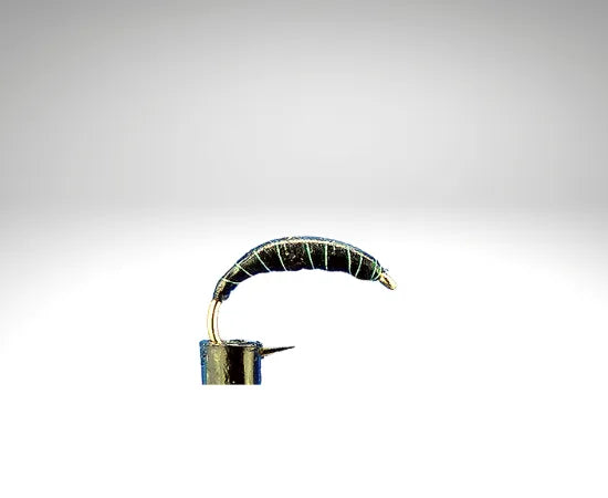 Plankton/PL1606.png