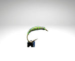 Plankton/PL1607.png