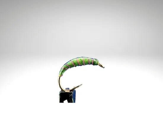 Plankton/PL1607.png