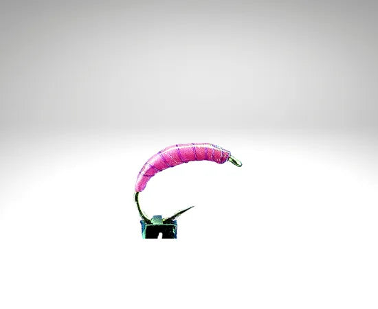 Plankton/PL1609.png