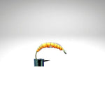 Plankton/PL1610.png