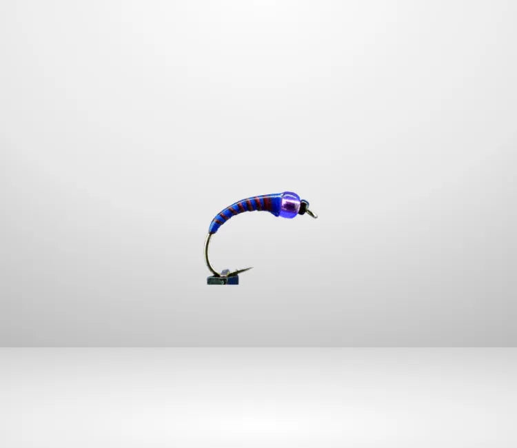 Peacock/PE906.png