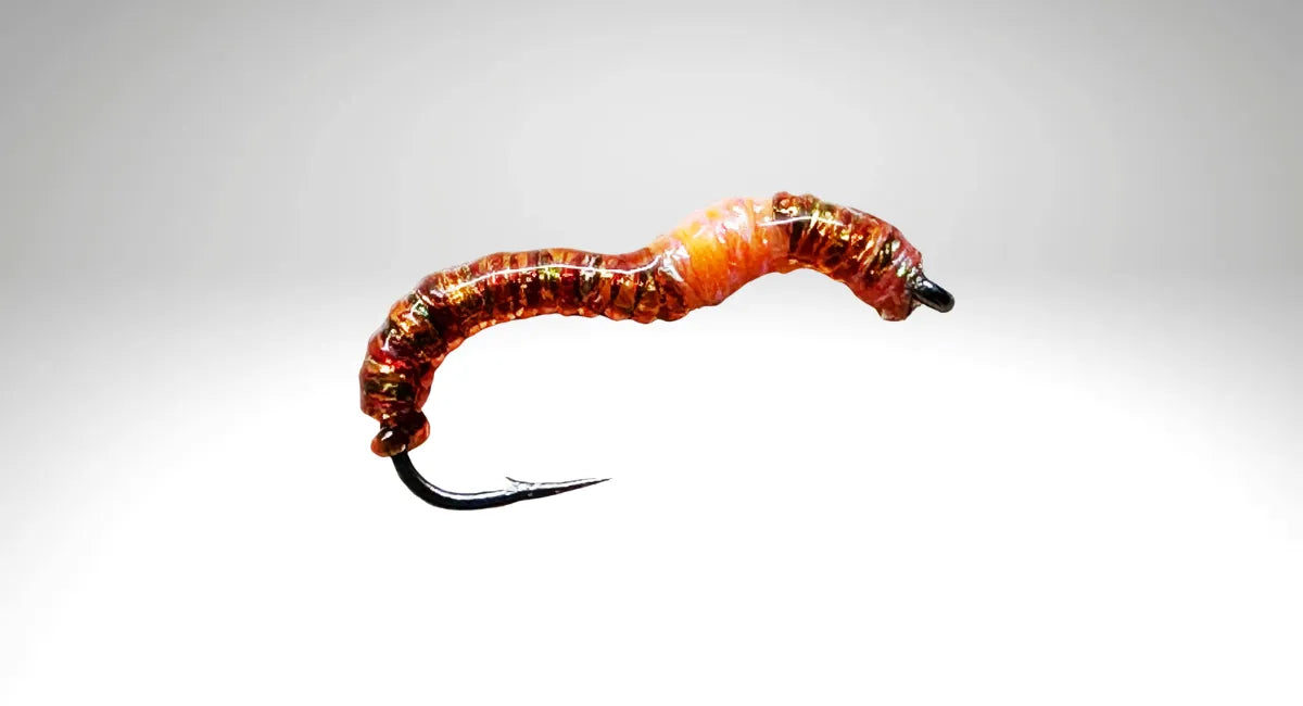 Wurm-Kollektion von Bindaris, der WU 19