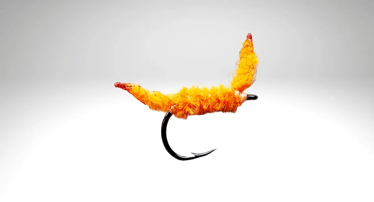 Wurm-Kollektion von Bindaris, der WU 03