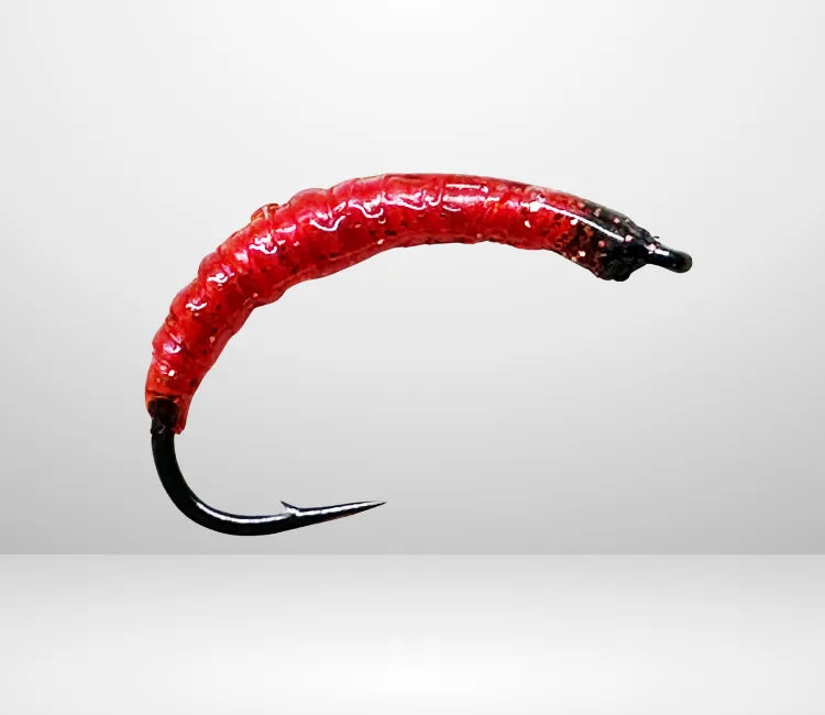 Wachsmotte, die WAM 08