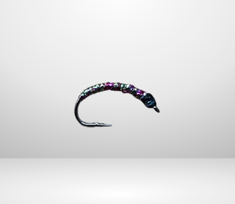 Felchenbarsch Larva MA 19