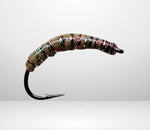 Wachsmotte, die WAM 03