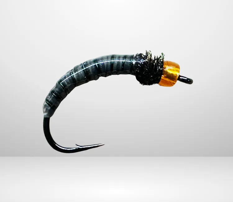 Wachsmotte, die WAM 09