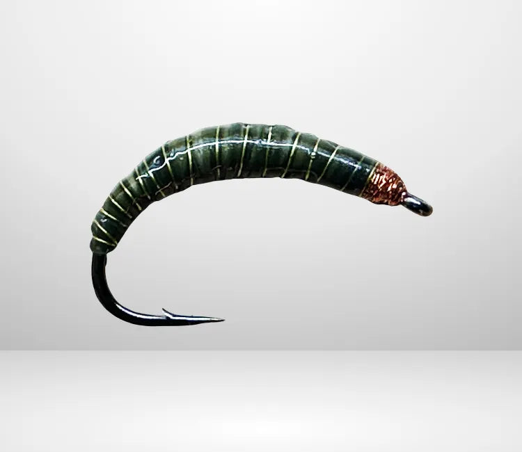 Wachsmotte, die WAM 11