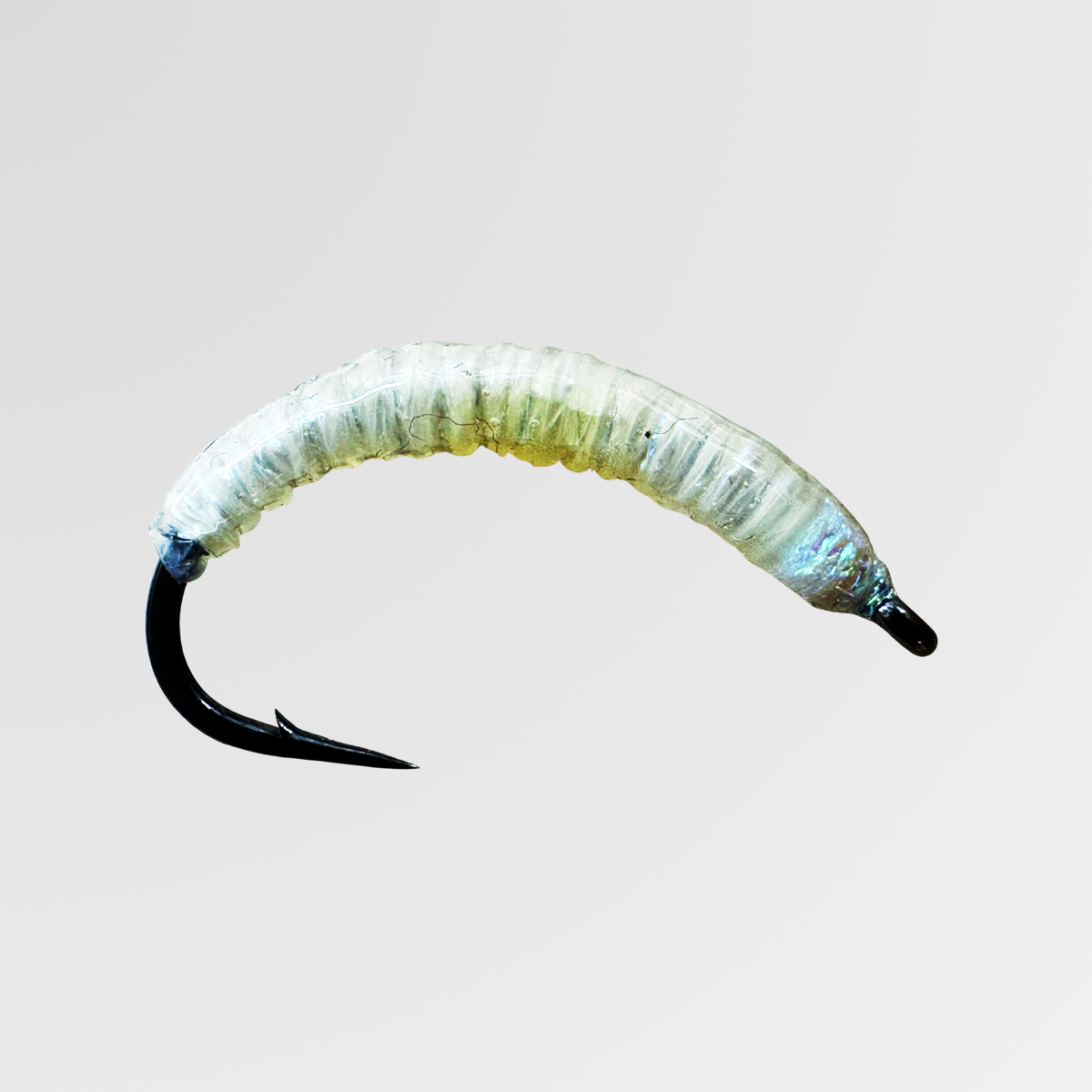 Wachsmotte von Bindaris WAM02