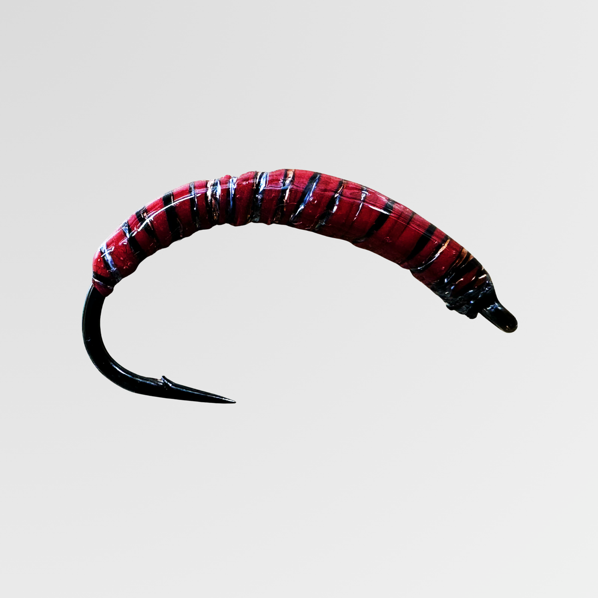 Wachsmotte von Bindaris WAM04
